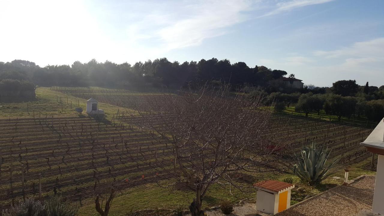 Magomadas Serra E Mesu Affittacamere المظهر الخارجي الصورة